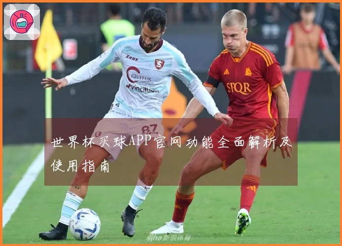 世界杯买球APP官网功能全面解析及使用指南