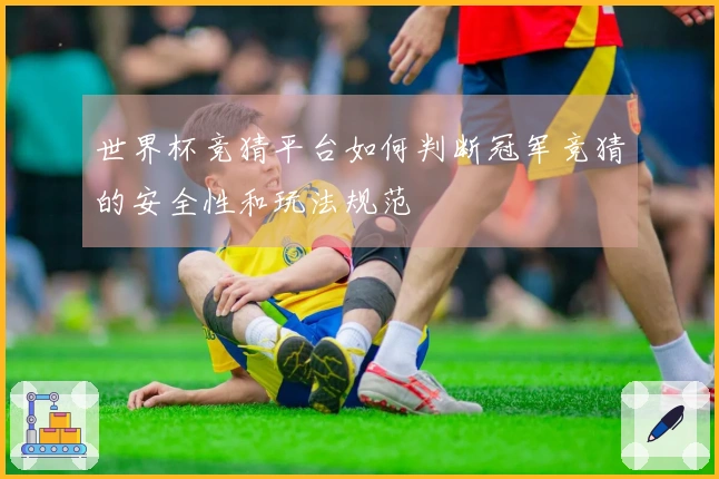 世界杯竞猜平台如何判断冠军竞猜的安全性和玩法规范