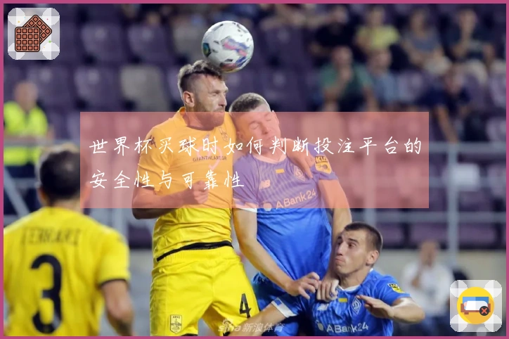 世界杯买球时如何判断投注平台的安全性与可靠性