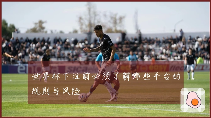 世界杯下注前必须了解哪些平台的规则与风险