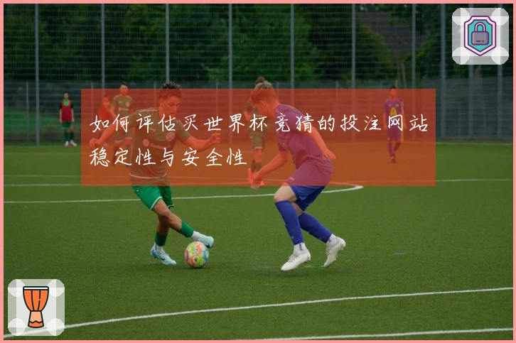 如何评估买世界杯竞猜的投注网站稳定性与安全性