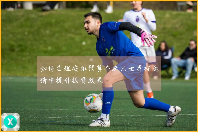 如何合理安排预算在烽火世界杯竞猜中提升投资效果