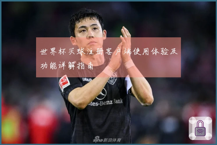 世界杯买球注册客户端使用体验及功能详解指南