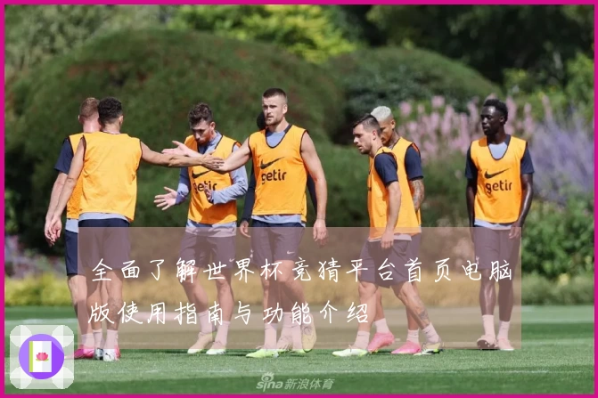 全面了解世界杯竞猜平台首页电脑版使用指南与功能介绍