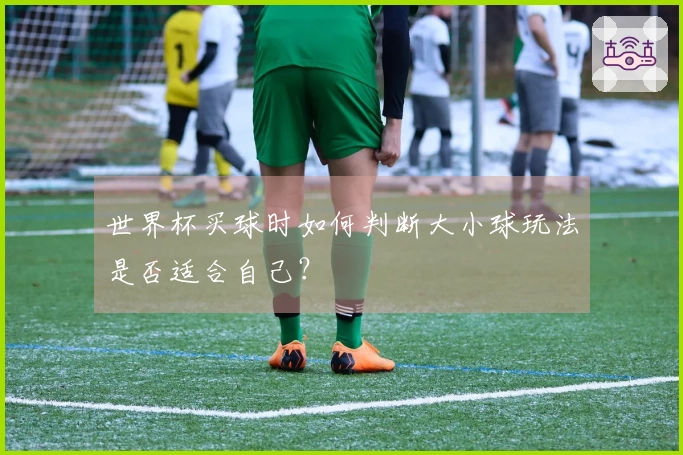 世界杯买球时如何判断大小球玩法是否适合自己？