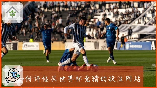 如何评估买世界杯竞猜的投注网站稳定性与安全性