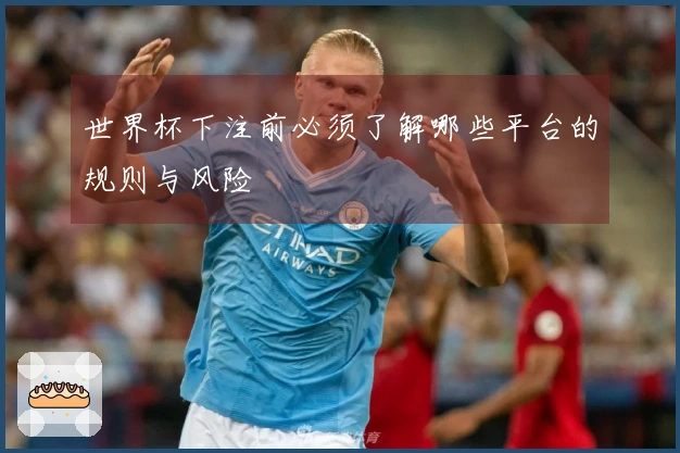 世界杯下注前必须了解哪些平台的规则与风险