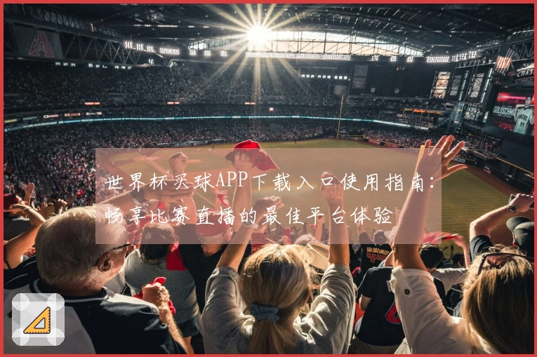 世界杯买球APP下载入口使用指南：畅享比赛直播的最佳平台体验