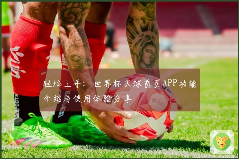 轻松上手：世界杯买球首页APP功能介绍与使用体验分享