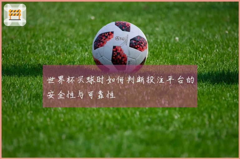 世界杯买球时如何判断投注平台的安全性与可靠性