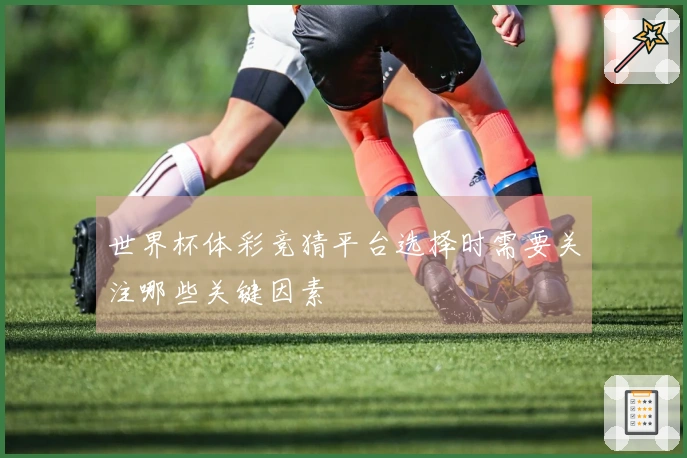 世界杯体彩竞猜平台选择时需要关注哪些关键因素