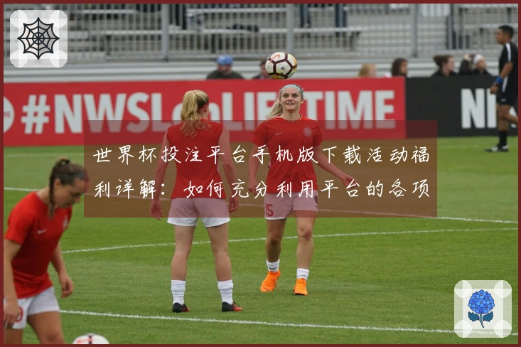 世界杯投注平台手机版下载活动福利详解：如何充分利用平台的各项功能与服务