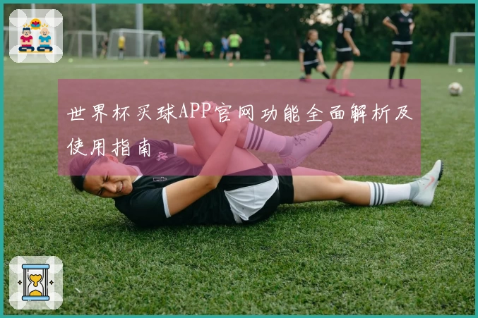 世界杯买球APP官网功能全面解析及使用指南