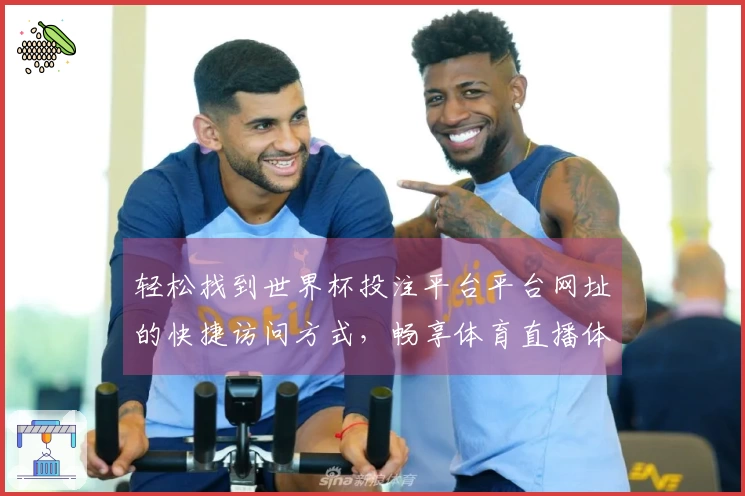 轻松找到世界杯投注平台平台网址的快捷访问方式，畅享体育直播体验