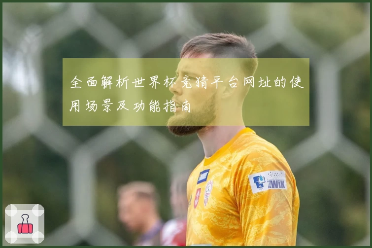 全面解析世界杯竞猜平台网址的使用场景及功能指南